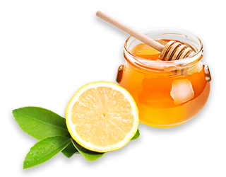 はちみつレモンイラスト