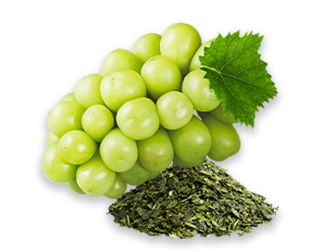 マスカットイラスト