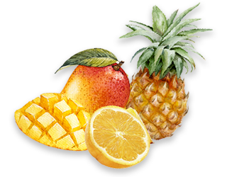 トロピカルイラスト